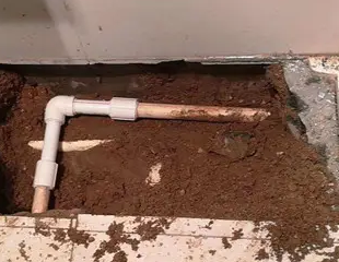 师宗测漏水哪家好