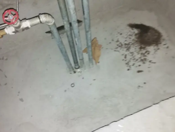 师宗卫生间测漏水价格明细